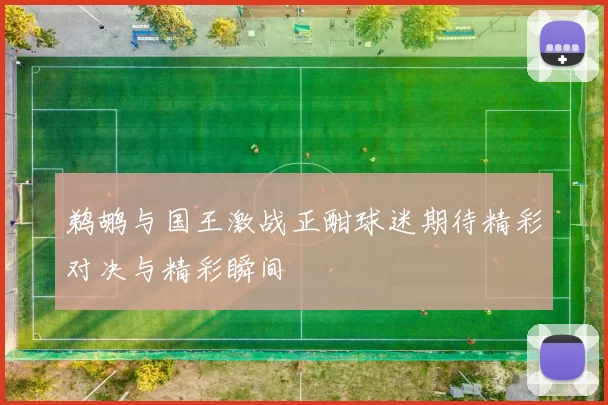 鹈鹕与国王激战正酣球迷期待精彩对决与精彩瞬间