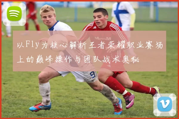 以Fly为核心解析王者荣耀职业赛场上的巅峰操作与团队战术奥秘